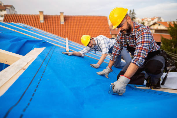 Best Sealant for Roof  in Hamlin, TX